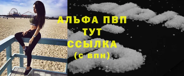 прущий лед Новозыбков