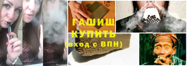 прущий лед Новозыбков