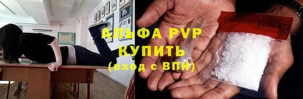 PSILOCYBIN Нефтегорск