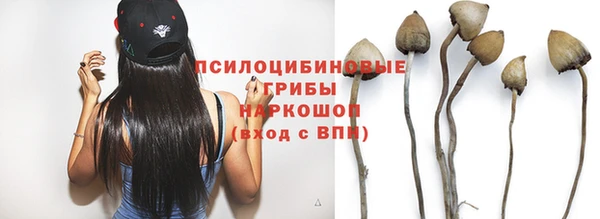 PSILOCYBIN Нефтегорск