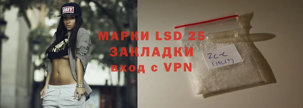 PSILOCYBIN Нефтегорск