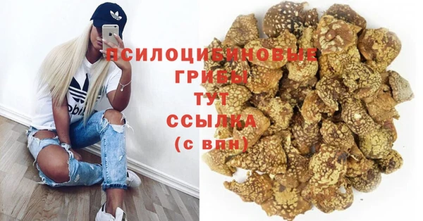 мдма Новодвинск