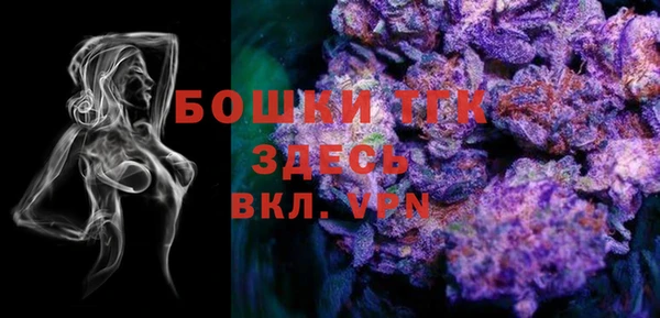 прущий лед Новозыбков