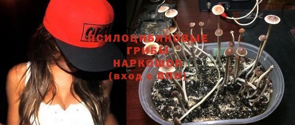 мдма Новодвинск