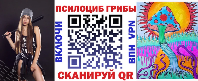 Псилоцибиновые грибы Psilocybine cubensis  Краснообск 